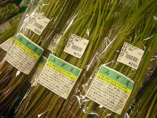 100619_1239_1_道の駅花の駅千曲川（飯山市）