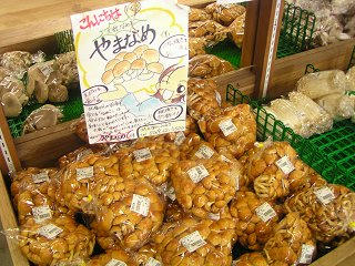 100619_1239_2_道の駅花の駅千曲川（飯山市）