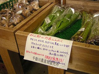 100613_1159_道の駅花の駅千曲川（飯山市）