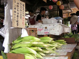 100815_1305_もろこし街道（信濃町）
