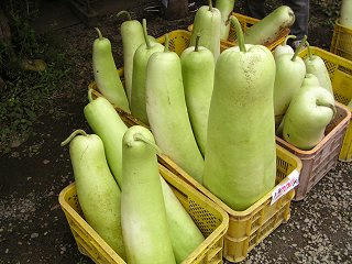 100815_1309_もろこし街道（信濃町）