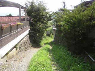 100817_1410_南大塩地区に残る信玄の棒道（茅野市）