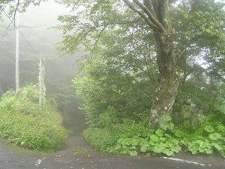 100819_1214_上州坂本宿に続く中山道（軽井沢町）