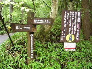 100819_1301_碓氷峠遊歩道（軽井沢町）