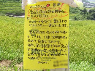 100829_1146_稲倉棚田の案山子プロジェクト仲間募集（上田市）