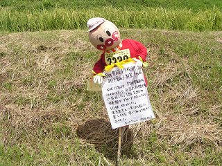 100829_1147_1_稲倉棚田の案山子（上田市）
