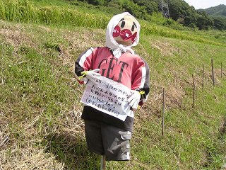 100829_1147_2_稲倉棚田の案山子（上田市）