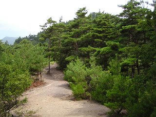 100829_0946_砥石城跡登山道（上田市）