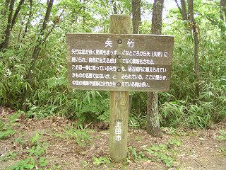 100829_1034_砥石城跡・本城矢竹（上田市）