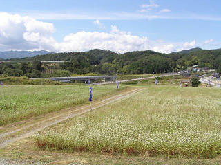 100918_1123_天龍峡花の里（飯田市）