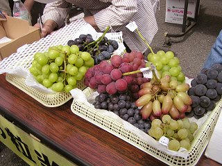 100919_1128_すこうぶどう祭り２０１０（須坂市）