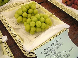 100919_1132_すこうぶどう祭り２０１０（須坂市）