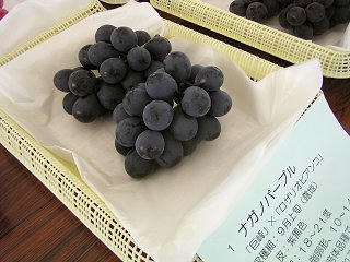 100919_1136_すこうぶどう祭り２０１０（須坂市）