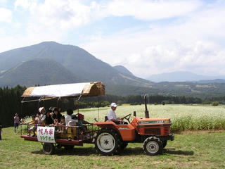 100919_1232_第７回須賀川そば 法印さんとそばの花まつり（山ノ内町）