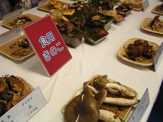 101002_1102_1_長野まるごと秋祭り（長野市）