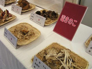 101002_1102_2_長野まるごと秋祭り（長野市）