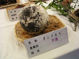 101002_1103_長野まるごと秋祭り・オニフスベ（長野市）