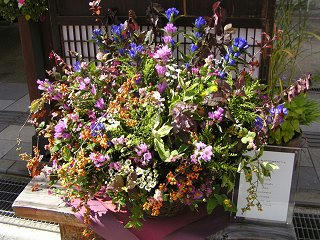 101002_1240_いいやま花フェスタ寺町花街道（飯山市）