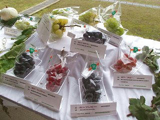 101009_1119_長野市農業フェア in　エムウェーブ（長野市）