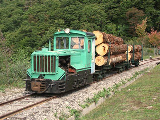 101010_1228_第３回王滝森林鉄道フェスティバル（王滝村）