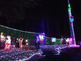101010_1845_２０１０イルミネーションフェスティバル（南箕輪村）