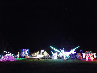 101010_1856_２０１０イルミネーションフェスティバル（南箕輪村）