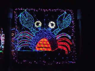 101010_1812_２０１０イルミネーションフェスティバル（南箕輪村）