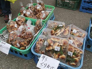 101024_1220_新そばまつりと収穫祭（筑北村）