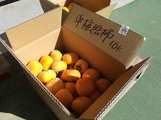 101106_1106_道の駅おがわ・さんさん市場（小川村）