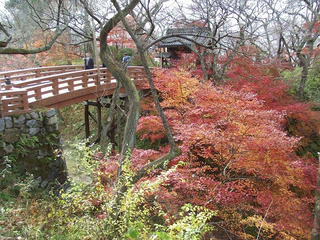 101113_1326_高遠城址の紅葉（伊那市）