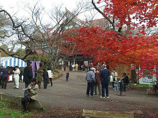 101113_1345_高遠城址の紅葉（伊那市）