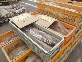 101114_1053_信州・松代 ながいも祭り（長野市）