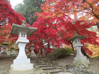 101114_0922_第５回清水寺もみじまつり（長野市）