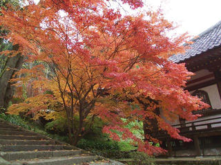 101114_0923_第５回清水寺もみじまつり（長野市）