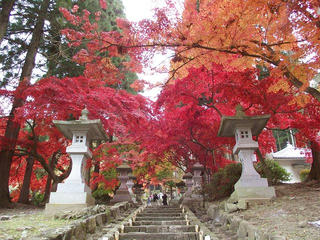 101114_0926_第５回清水寺もみじまつり（長野市）