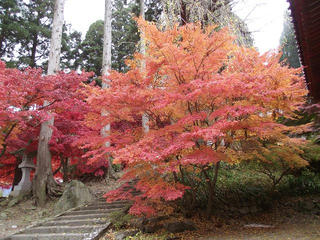 101114_0925_第５回清水寺もみじまつり（長野市）