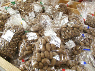 101121_1210_道の駅花の駅千曲川で販売されている「むかご」（飯山市）