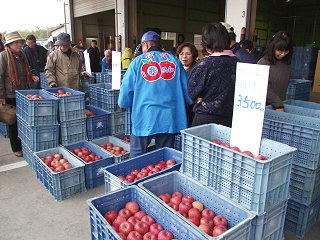 101129_1014_第３８回共和ふじ祭り（長野市）