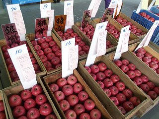 101129_1018_第３８回共和ふじ祭り（長野市）