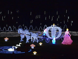 101204_1819_佐久平イルミネーション（佐久市）