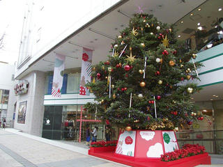 101211_1350_松本パルコ前のクリスマスツリー（松本市）