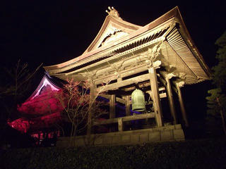 110205_1819_第８回長野灯明まつり（長野市）