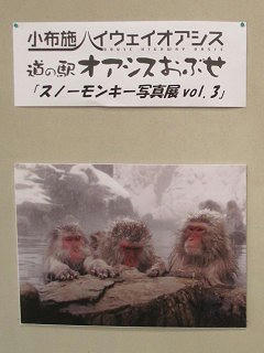 110212_1650_スノーモンキー写真展 vol.3 （小布施町）