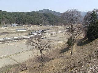 110402_1207_松本市四賀赤怒田の福寿草群生地（松本市）