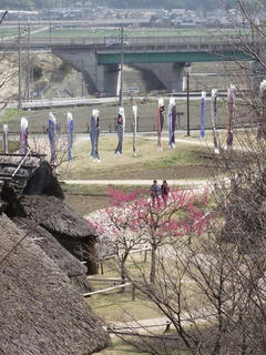 110410_1042_科野の里歴史公園の鯉のぼり（千曲市）