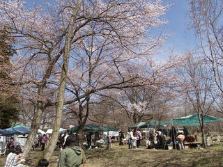 110417_1358_第１２回境内アート小布施×苗市（小布施町）