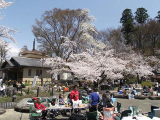 110424_1151_1_臥竜公園のサクラ（須坂市）