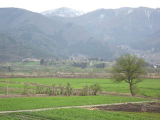 110430_1136_飯山菜の花公園（飯山市）