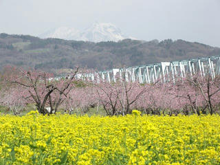 110430_0833_千曲川ふれあい公園（小布施町）