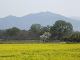 110430_0829_千曲川ふれあい公園（小布施町）